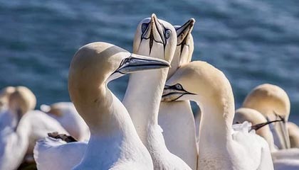 AC米兰新闻-NBA赛季抢断效率分析，nba抢断历史排名百度百科