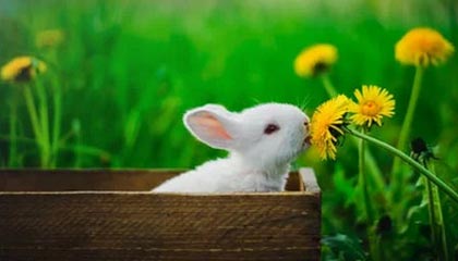 AC米兰新闻-NBA赛季抢断效率分析，nba抢断历史排名百度百科