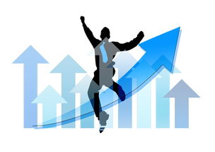 米兰全站app登录app-中国篮球职业俱乐部财务风险管理实践，篮球俱乐部经营与管理