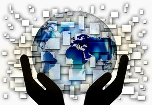 ac米兰中文官网-全国电子竞技公开赛上海收官，全国电子竞技大赛官网2020