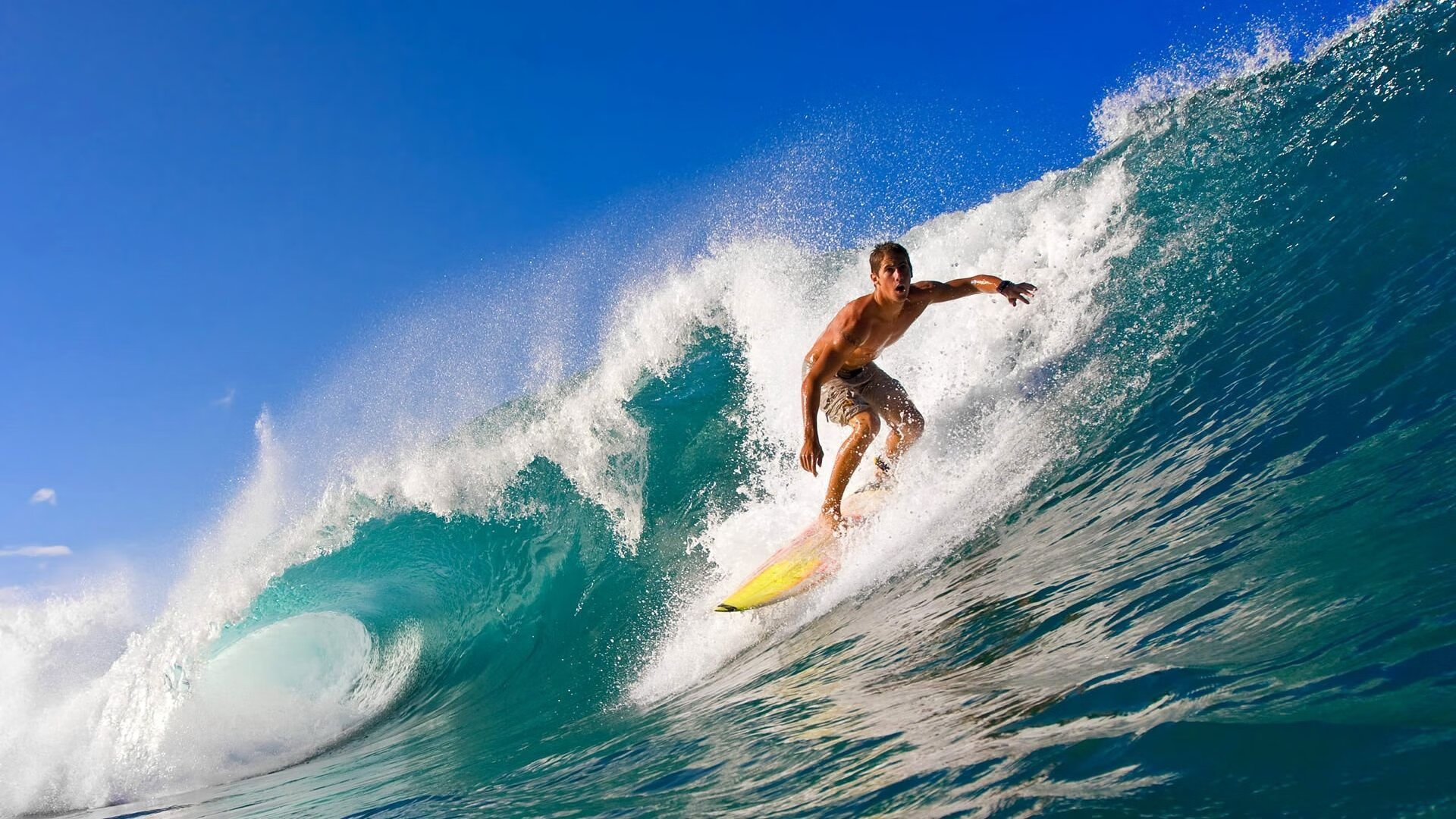 全球体育赛事年度排名